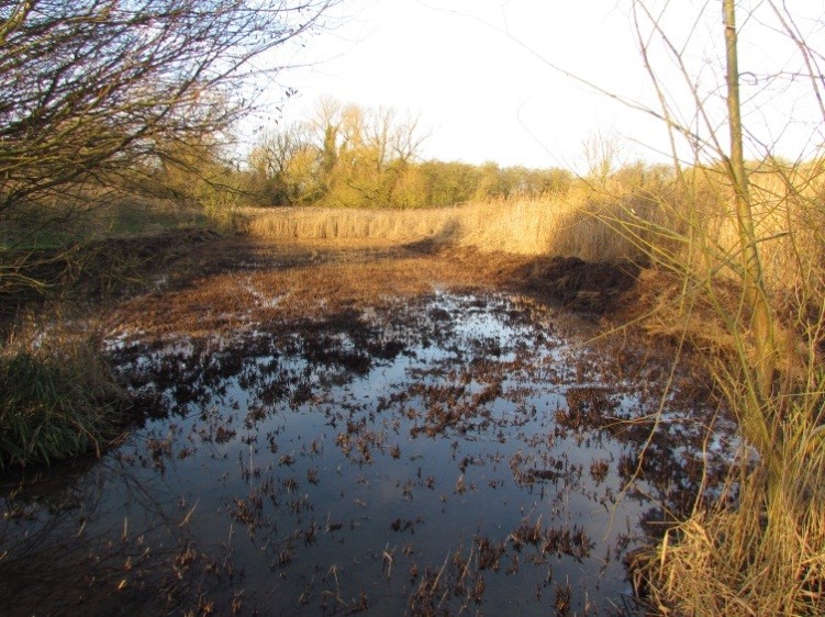 Fowlmere Wetlands © Doug Radford