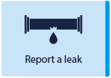 Report a leak button