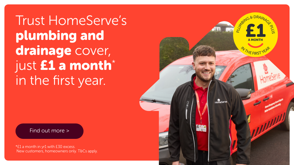 HomeServe, £1 a month cover in the first year