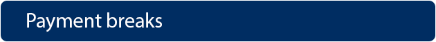 image header of payment breaks
