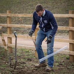 Photo of tree planting