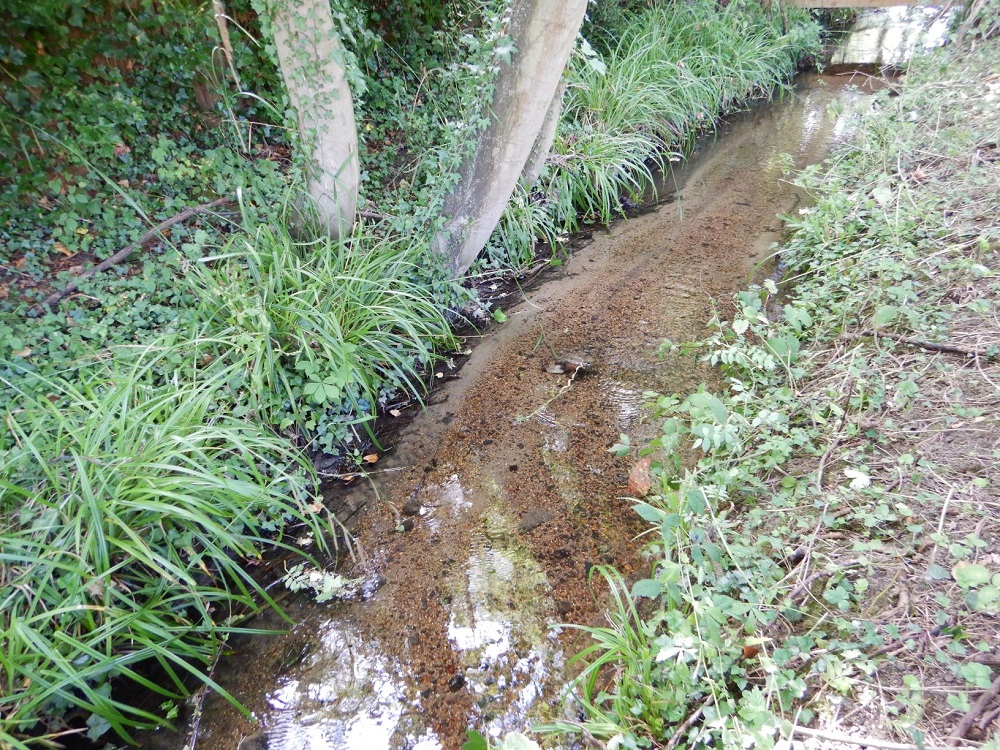 Photo of Vicars Brook