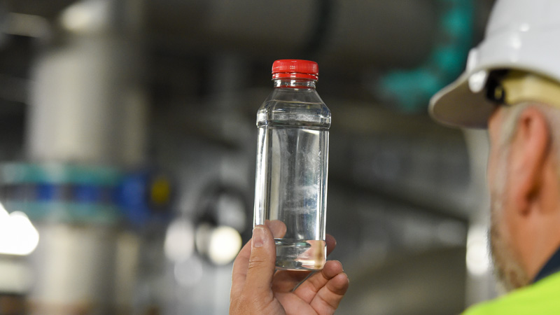 Monitoring the quality of water in Cambridge