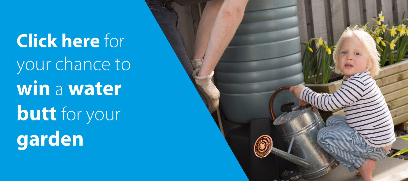 Win a water butt for your garden