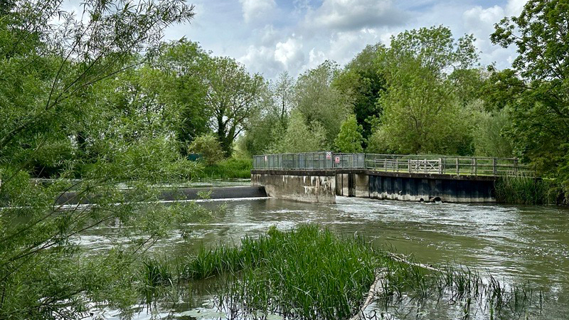 Chalk stream surveying in Cambridge