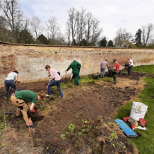 Volunteers planting