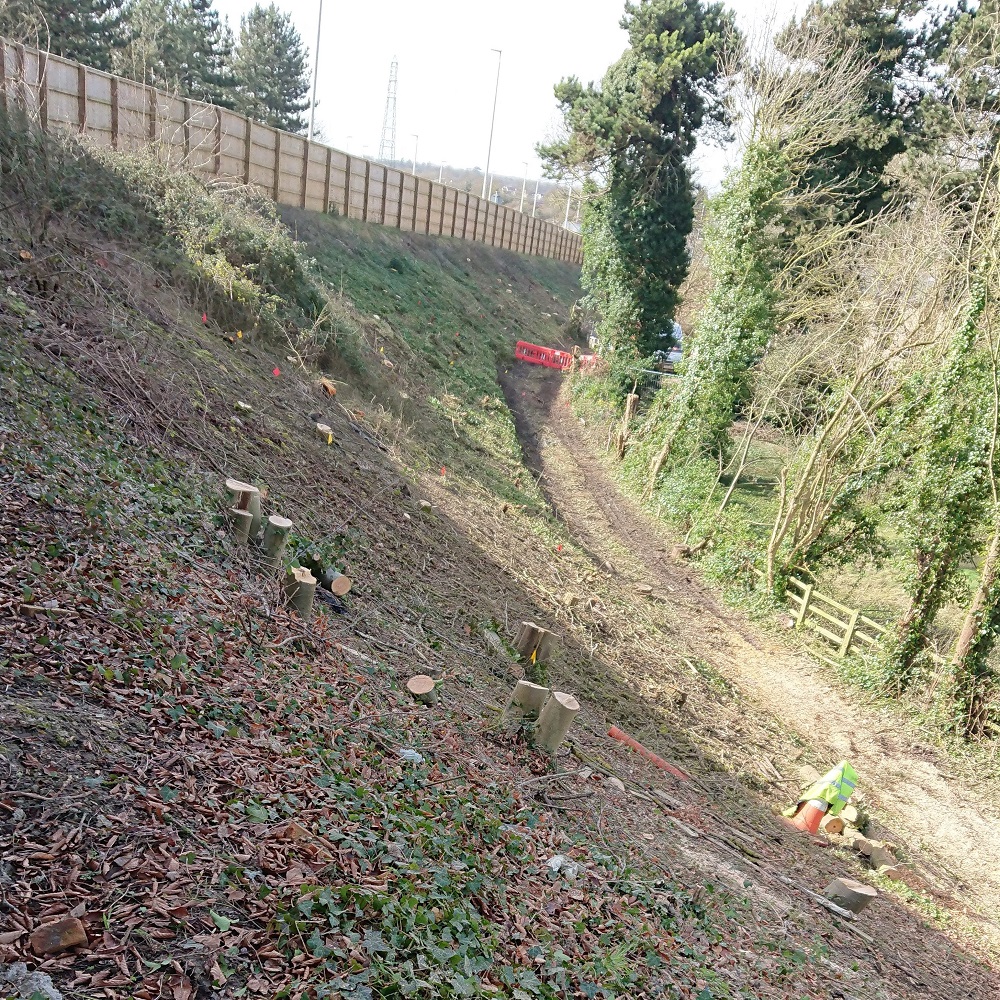 Photo showing the embankment with trees cut down