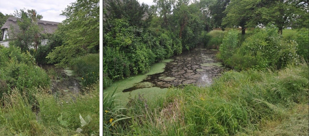 Photos showing the pond before the work