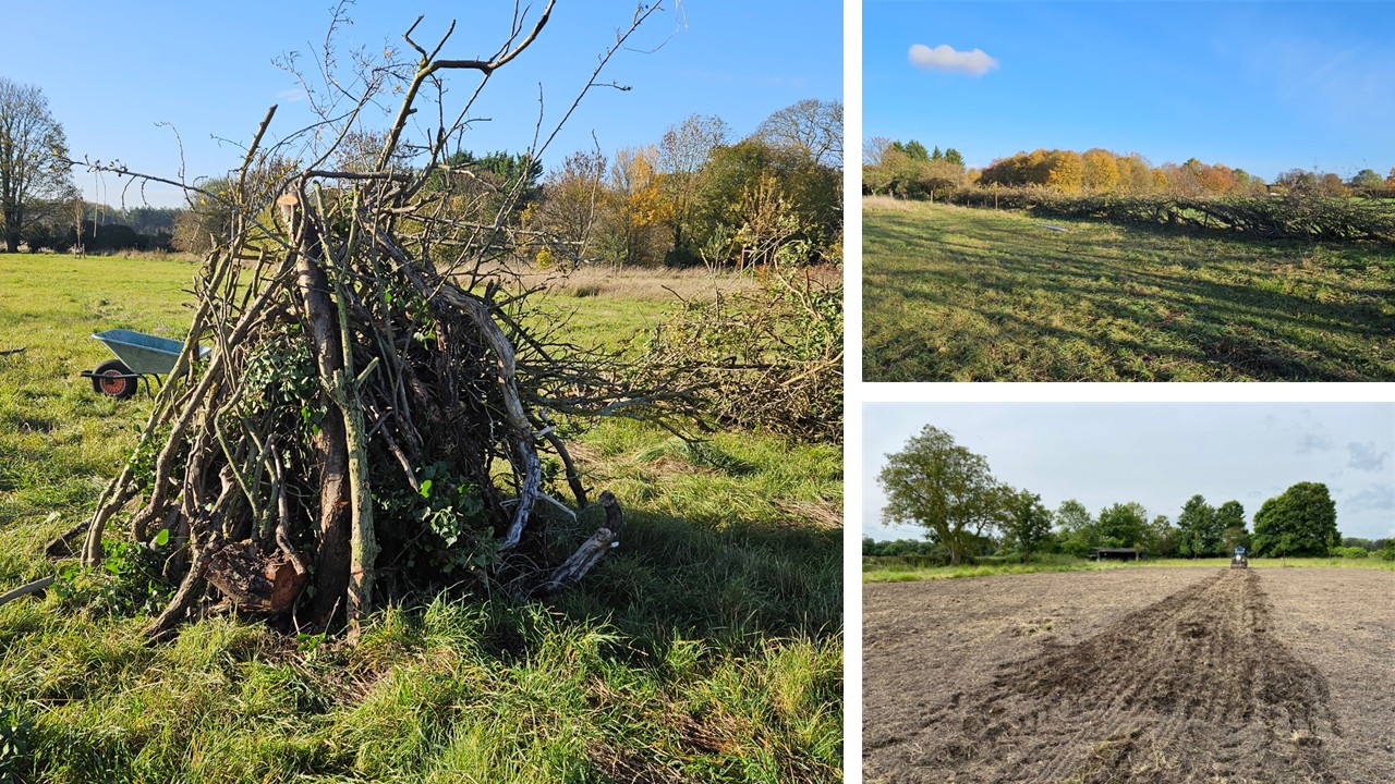 Images of Little Shelford Community Project
