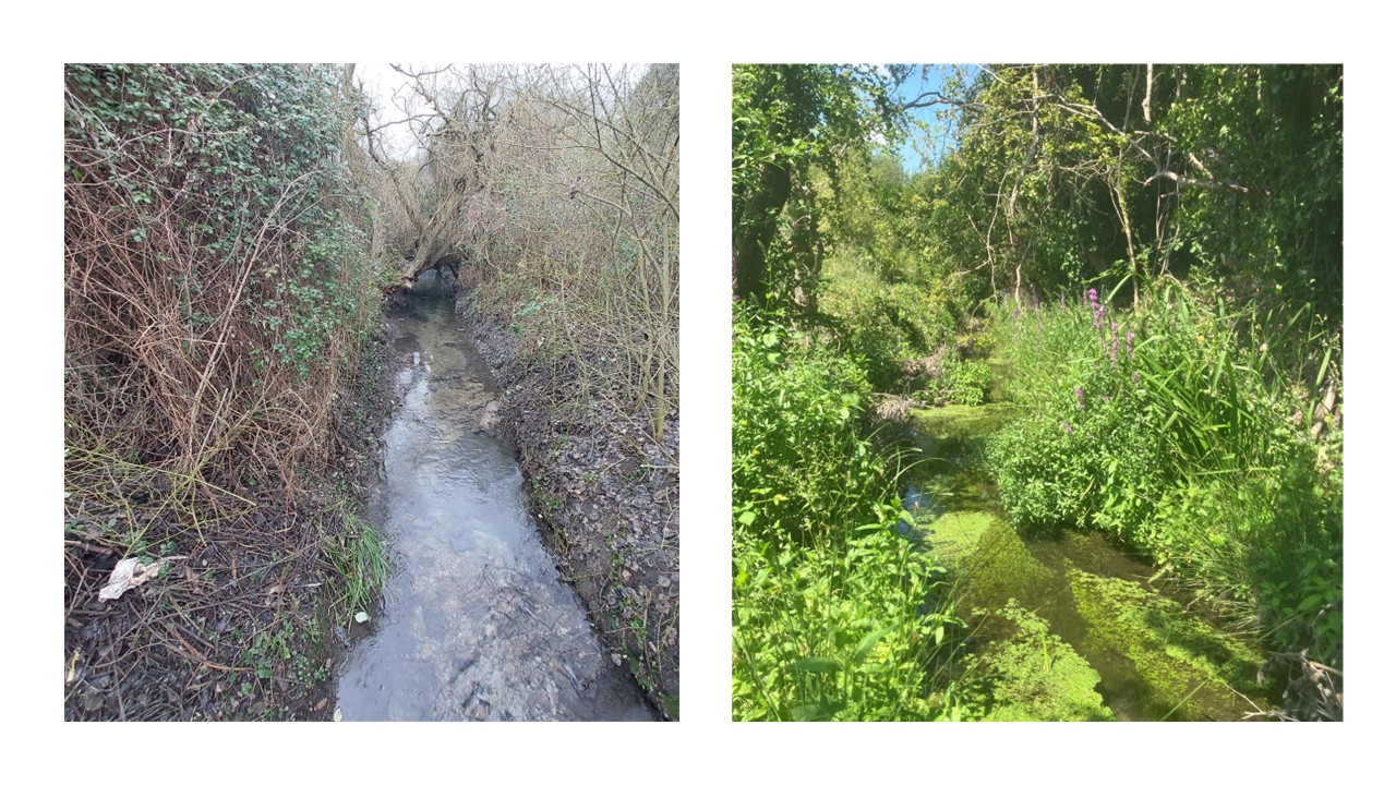 Coldham Brook before and after works