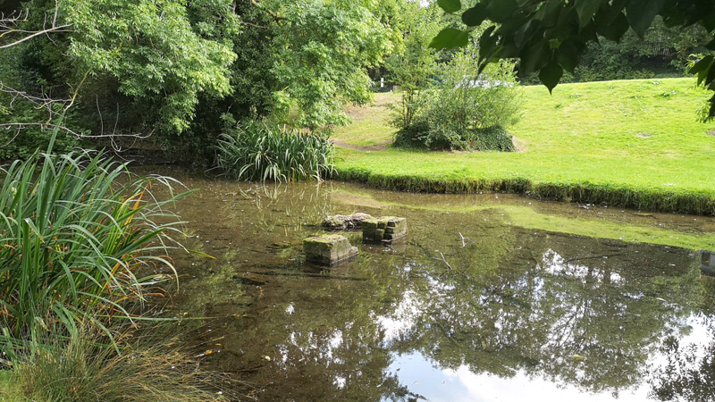 Cherry Hinton brook