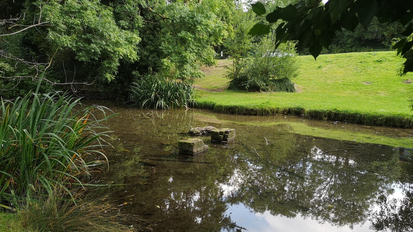 Photo of Cherry Hinton Brook