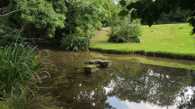 Cherry Hinton Brook