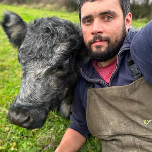 Ben Hawkins and cow