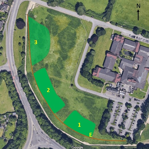 Graphic showing area of tree planting